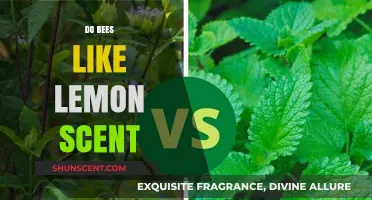 Do Bees Like Lemon Scent? Exploring the Buzz Around Citrus Aromas