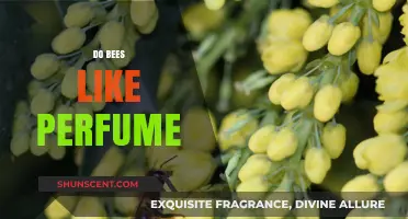 The Buzz on Bees: Do They Like Perfume?