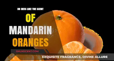 Do Bees Love Mandarin Oranges? Exploring Their Scent Attraction
