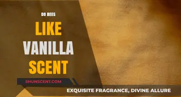 Do Bees Like Vanilla Scent? Exploring Their Attraction to Sweet Aromas