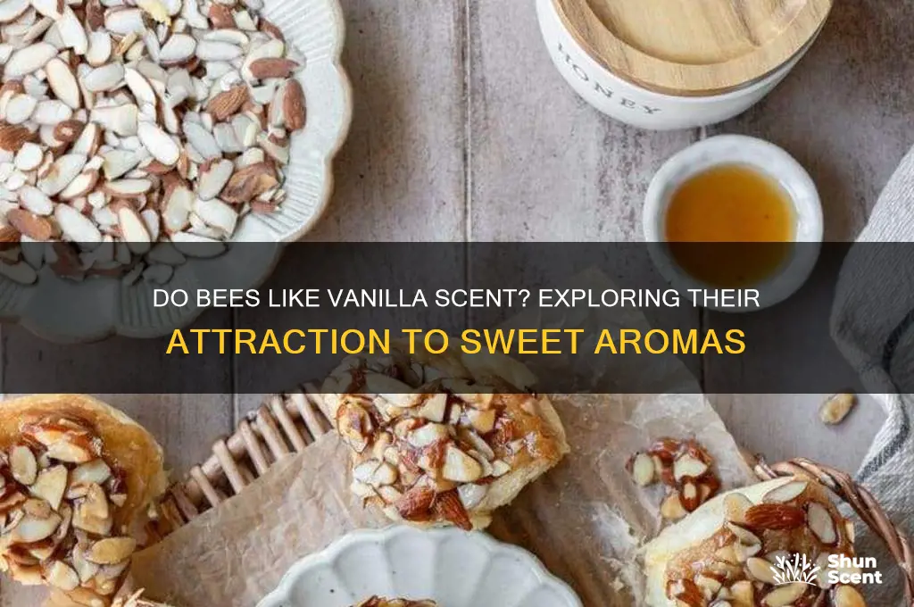 do bees like vanilla scent