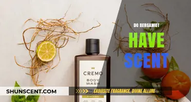 Discover the Aromatic Truth: Do Bergamot Fruits Have a Scent?