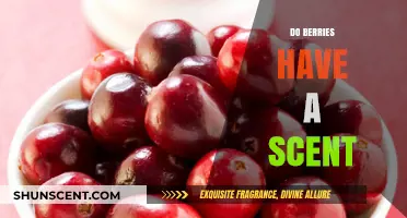 Exploring the Aromatic World: Do Berries Have a Scent?