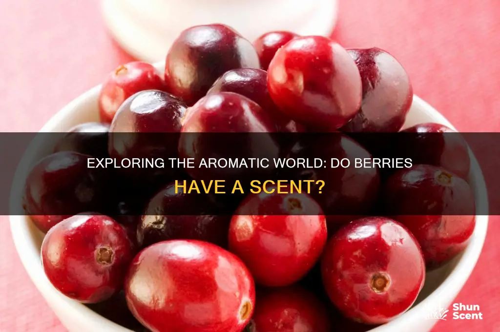 do berries have a scent