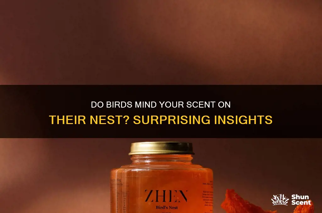 do birds care if your scent is on their nest