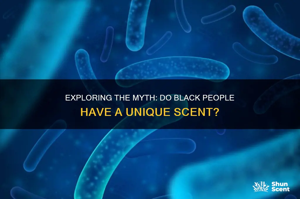 do black people have a different scent