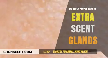 Debunking Myths: Do Black People Have Extra Scent Glands?