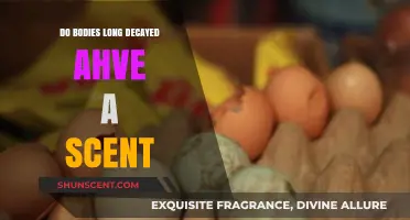 The Lingering Aroma of Long-Decayed Bodies: Unveiling the Scent Mystery