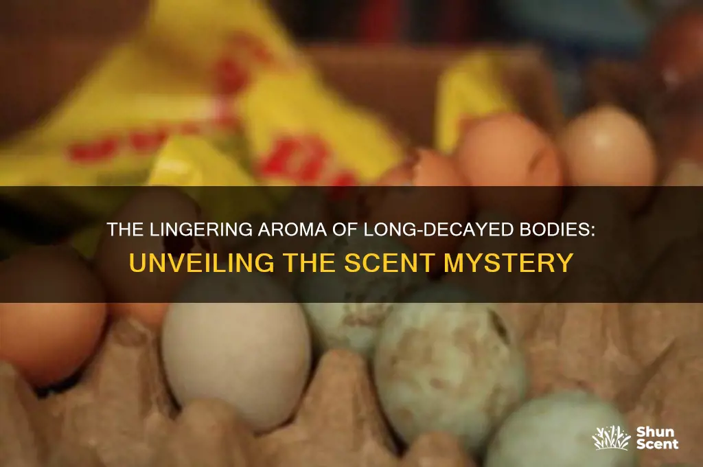 do bodies long decayed ahve a scent