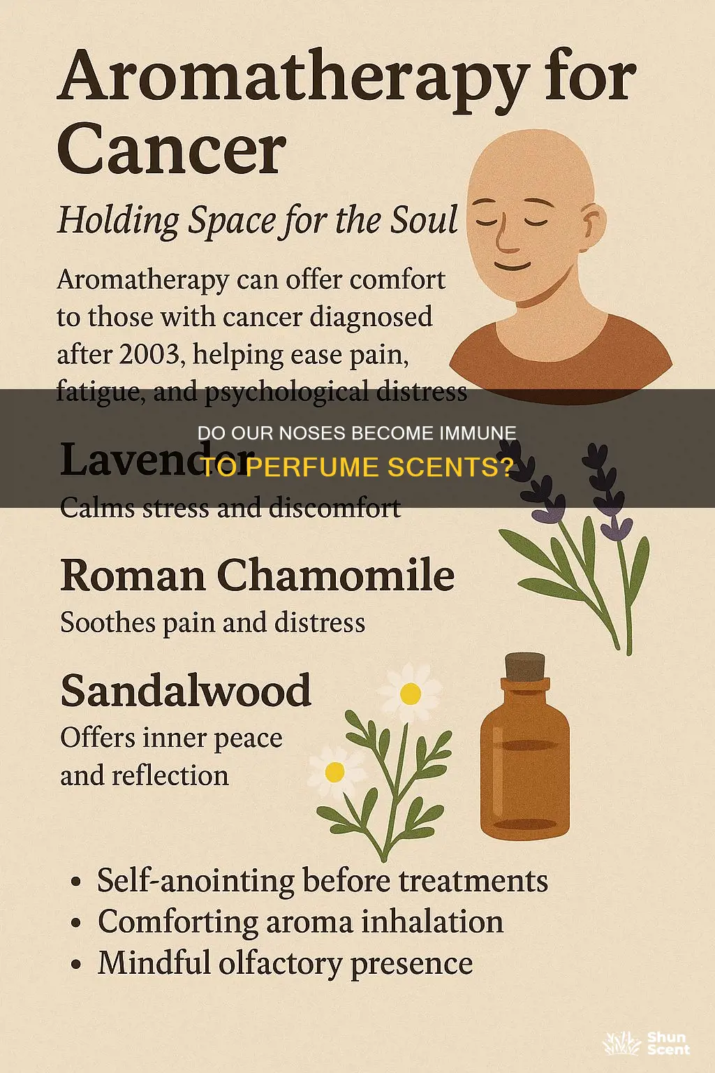 do bodys build a tolerance to perfume