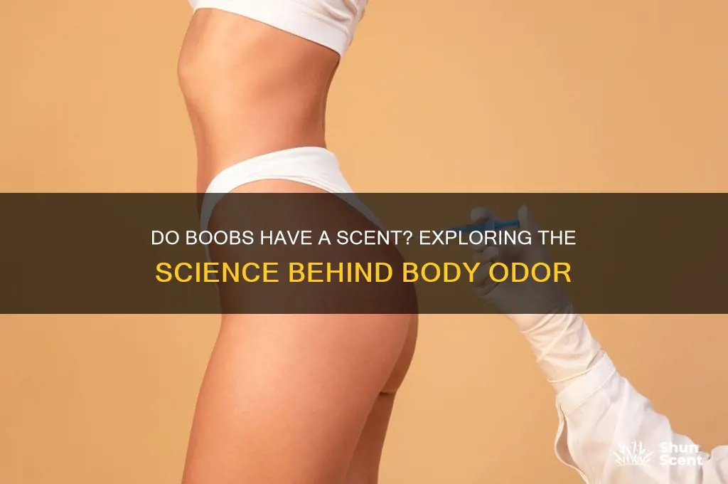 do boobs have a scent