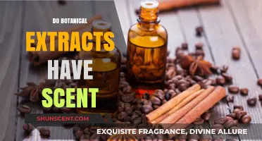Exploring the Aromatic World of Botanical Extracts: Do They Smell?