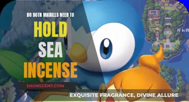 Marill Evolution: Sea Incense Needed for Both Genders?