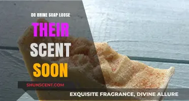 Does Brine Soap Lose Its Scent Quickly? Facts and Tips