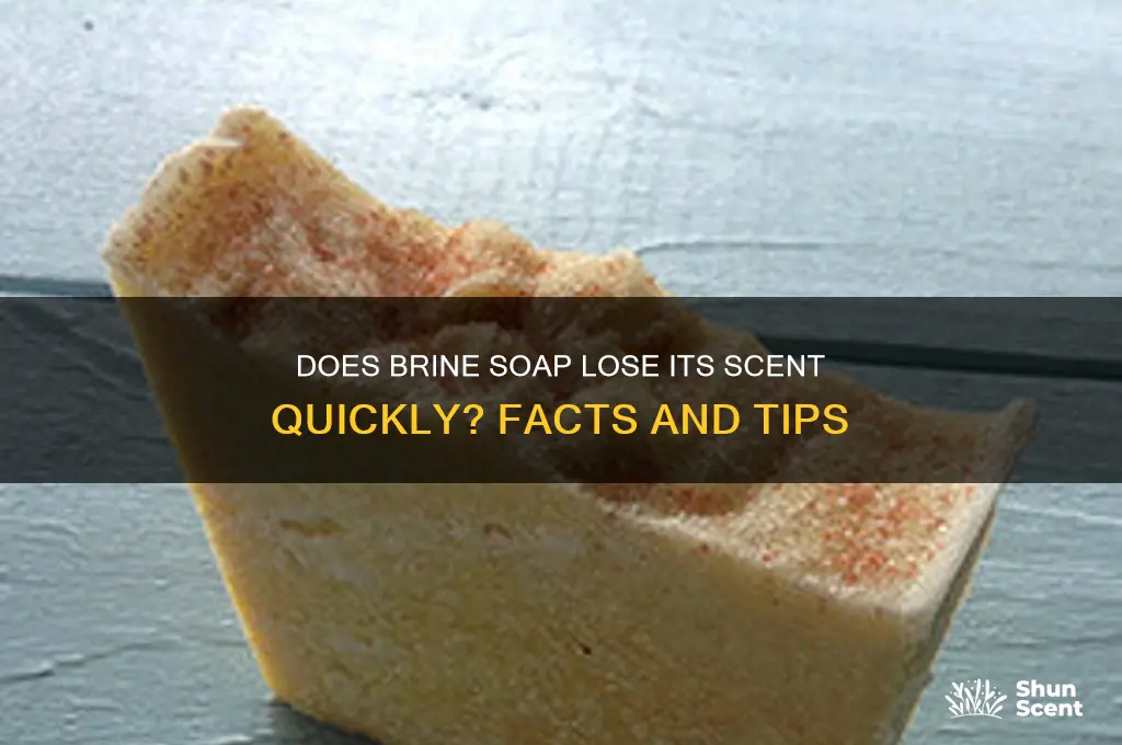 do brine soap loose their scent soon