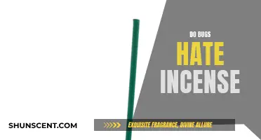 Incense: A Natural Insect Repellent?