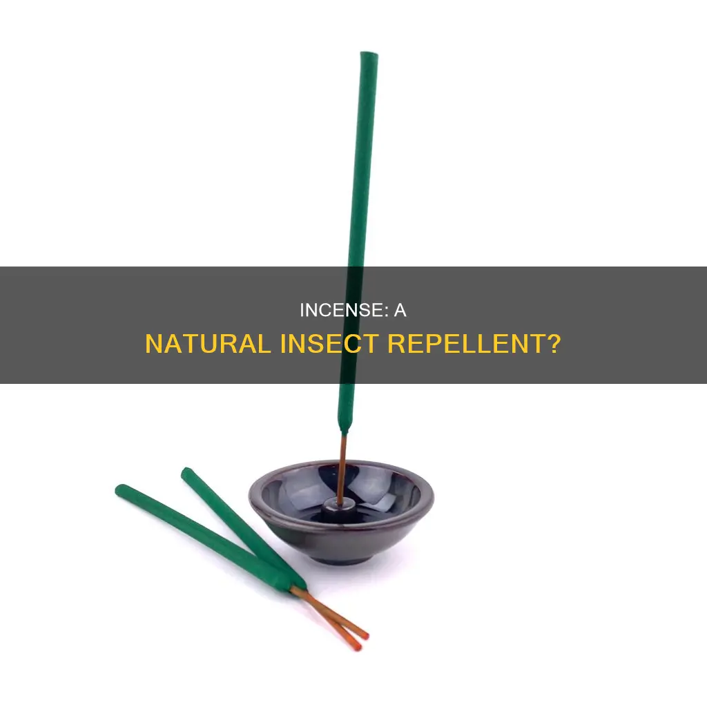 do bugs hate incense