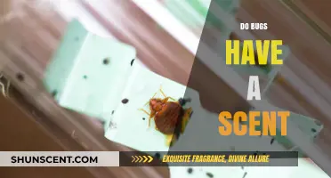 Unveiling the Truth: Do Bugs Emit Unique Scents?