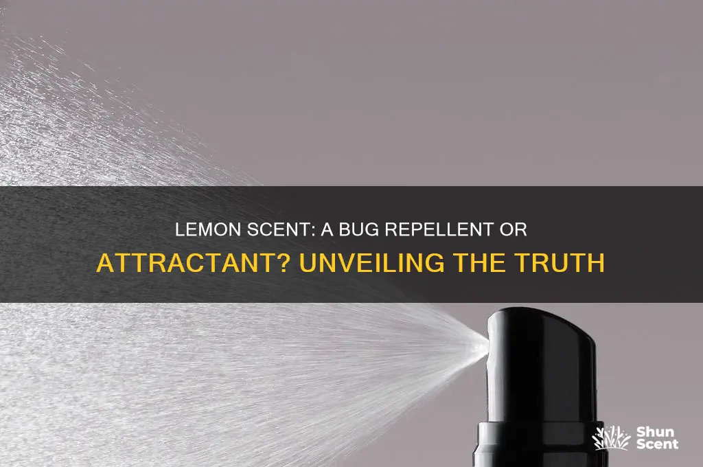 do bugs like lemon scent