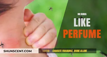 Bugs and Scents: What Attracts Insects?