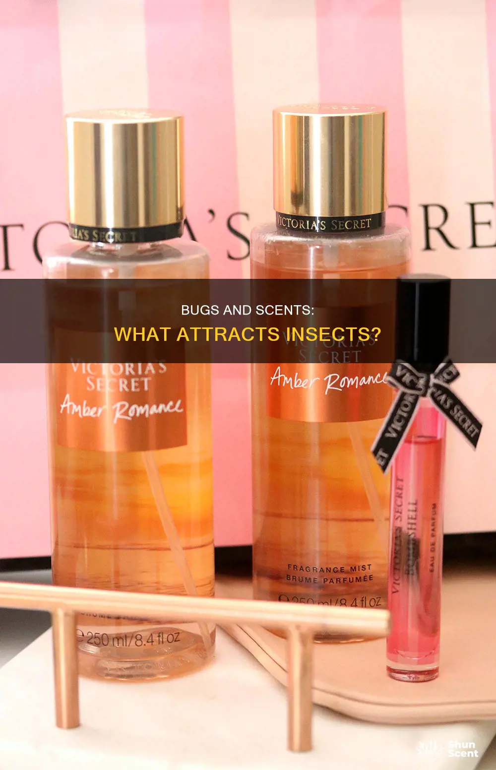 do bugs like perfume