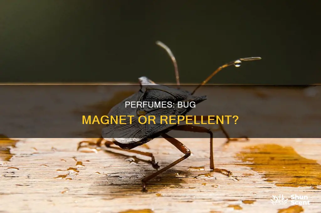 do bugs like the smell of perfume