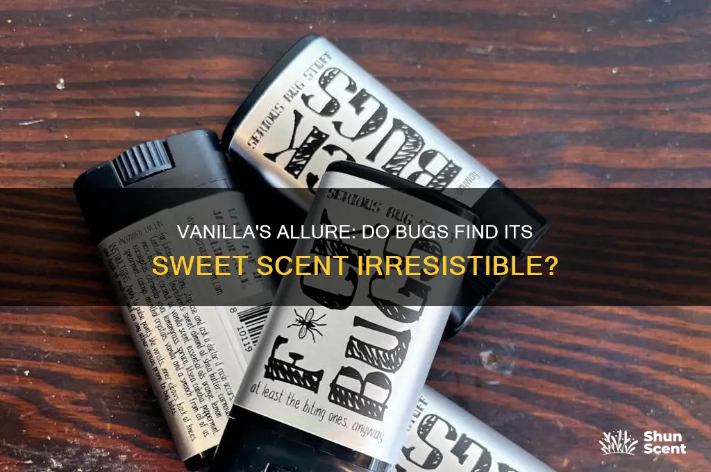 do bugs like vanilla scent