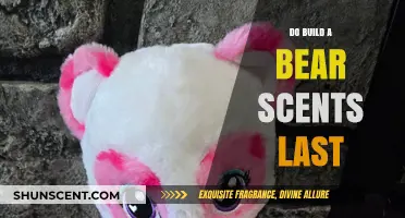 How Long Do Build-A-Bear Scents Last? A Comprehensive Guide