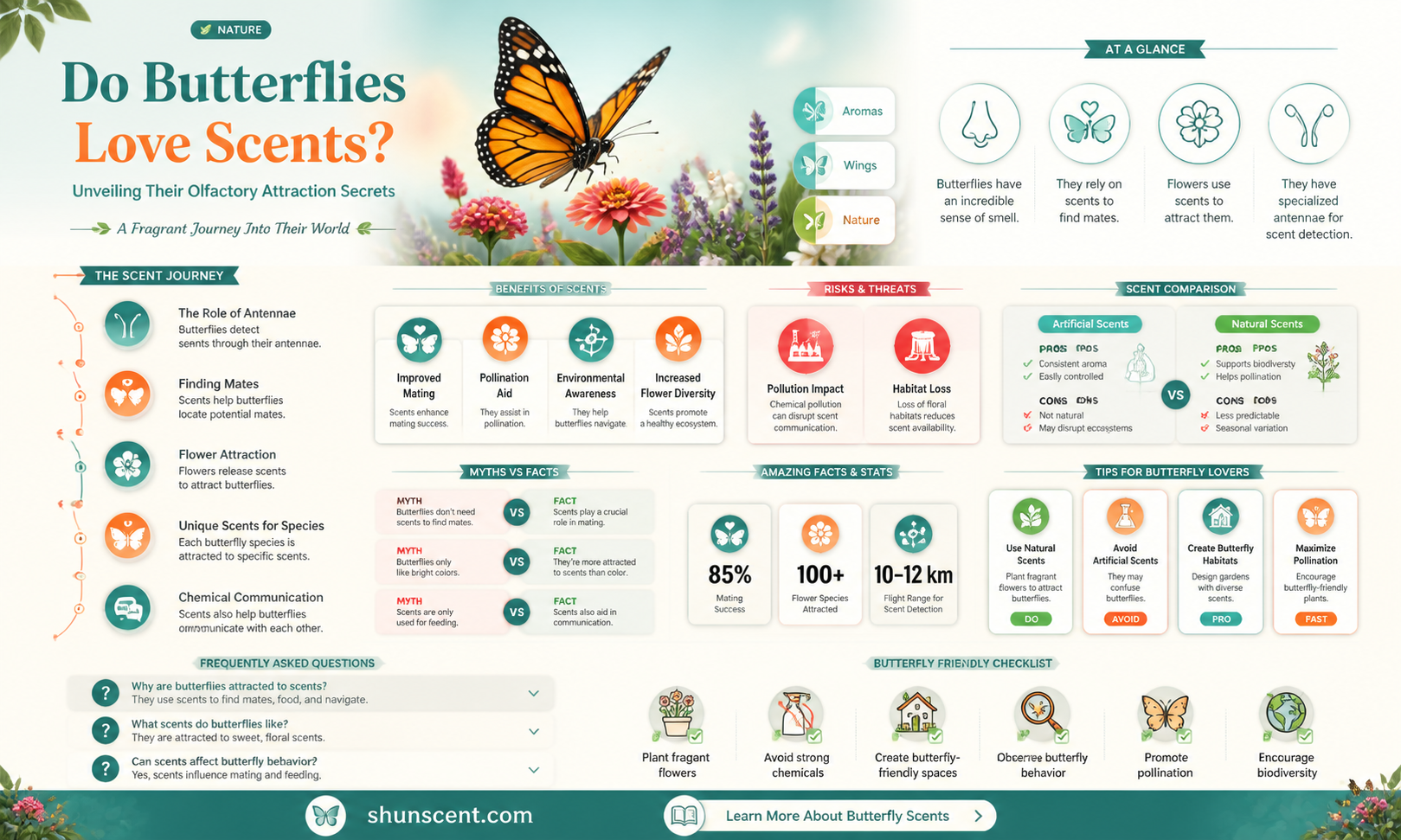are butterflies attracted to scents