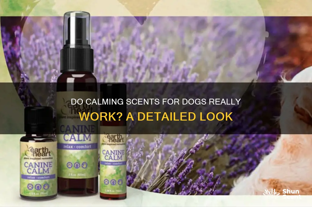 do calming scents for dogs work