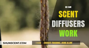 Do Car Scent Diffusers Work? Unveiling the Truth Behind Fresh Rides