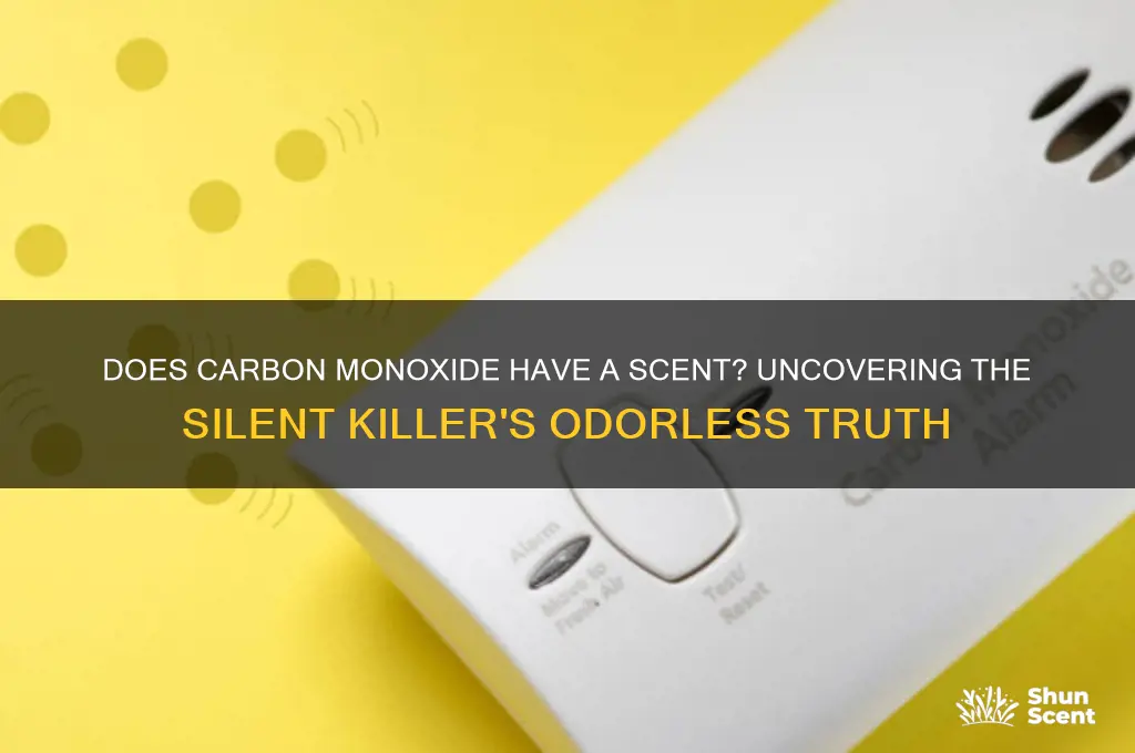 do carbon monoxide have a scent