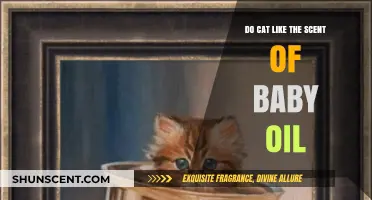 Do Cats Enjoy Baby Oil Scent? Uncovering Feline Preferences and Reactions