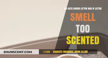 Why Cats Avoid Scented Litter Boxes: Understanding Feline Preferences