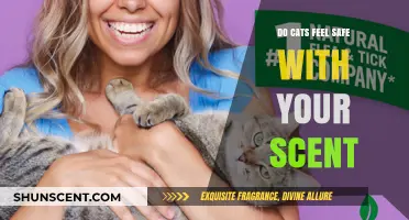 Do Cats Feel Safer with Your Scent? Exploring Feline Comfort
