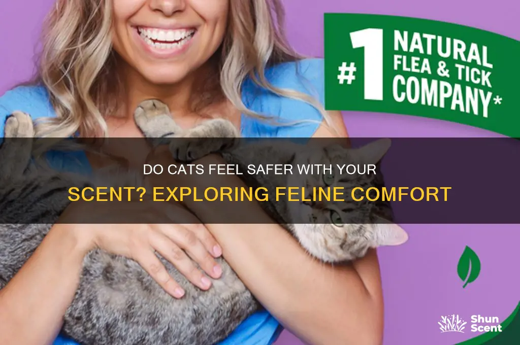 do cats feel safe with your scent