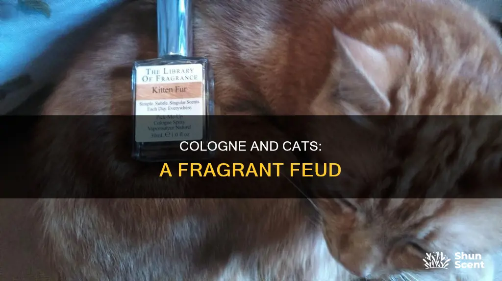 do cats hate cologne