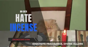 Incense and Cats: A Fragrant Feud?