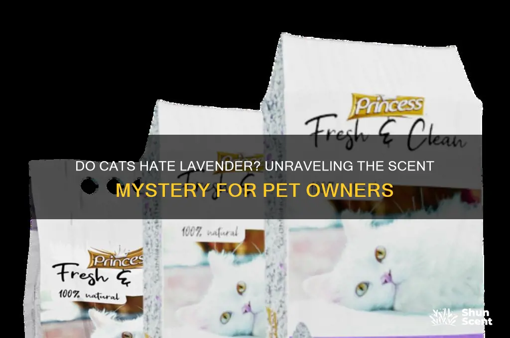 do cats hate lavender scent