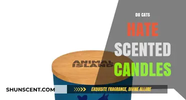 Do Cats Hate Scented Candles? Uncovering Feline Sensitivity to Aromas