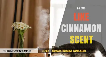 Do Cats Enjoy Cinnamon? Exploring Feline Reactions to Spicy Scents