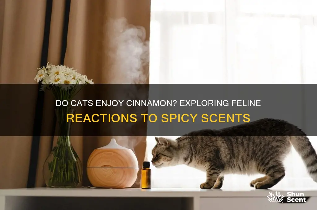 do cats like cinnamon scent