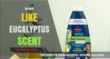 Do Cats Enjoy Eucalyptus Scent? Uncovering Feline Preferences and Safety Tips