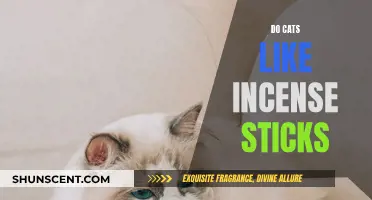 Incense Sticks: A Cat's Friend or Foe?