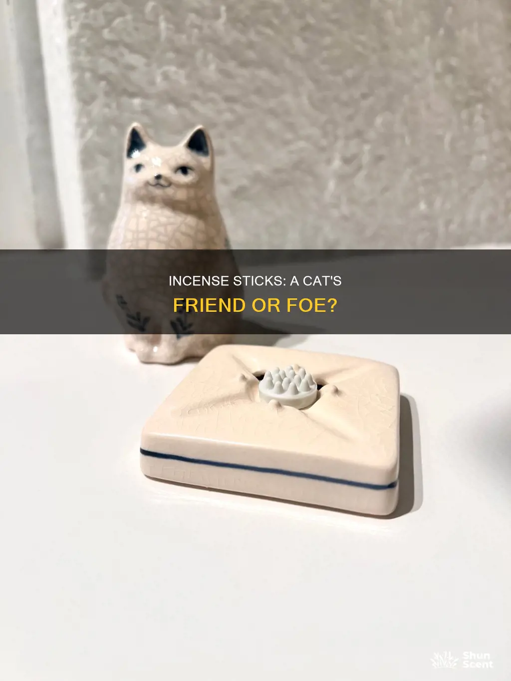 do cats like incense sticks