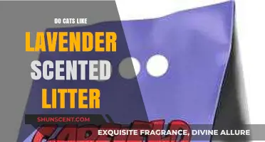 Lavender Scented Cat Litter: Do Cats Enjoy the Aroma?