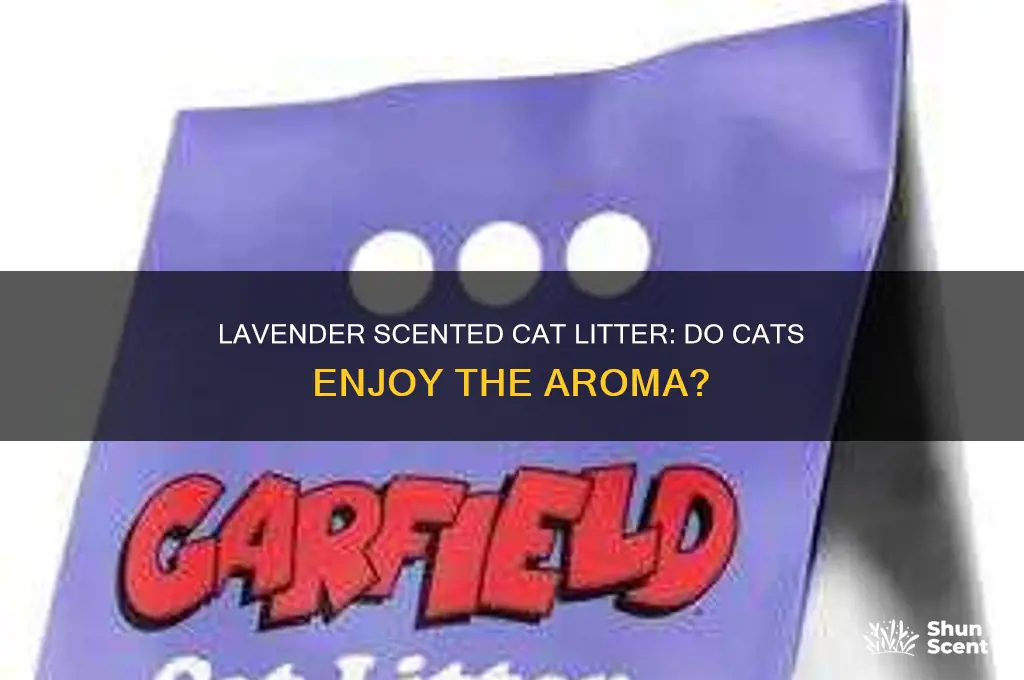 do cats like lavender scented litter