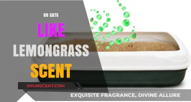 Do Cats Enjoy Lemongrass Scent? Exploring Feline Preferences and Reactions