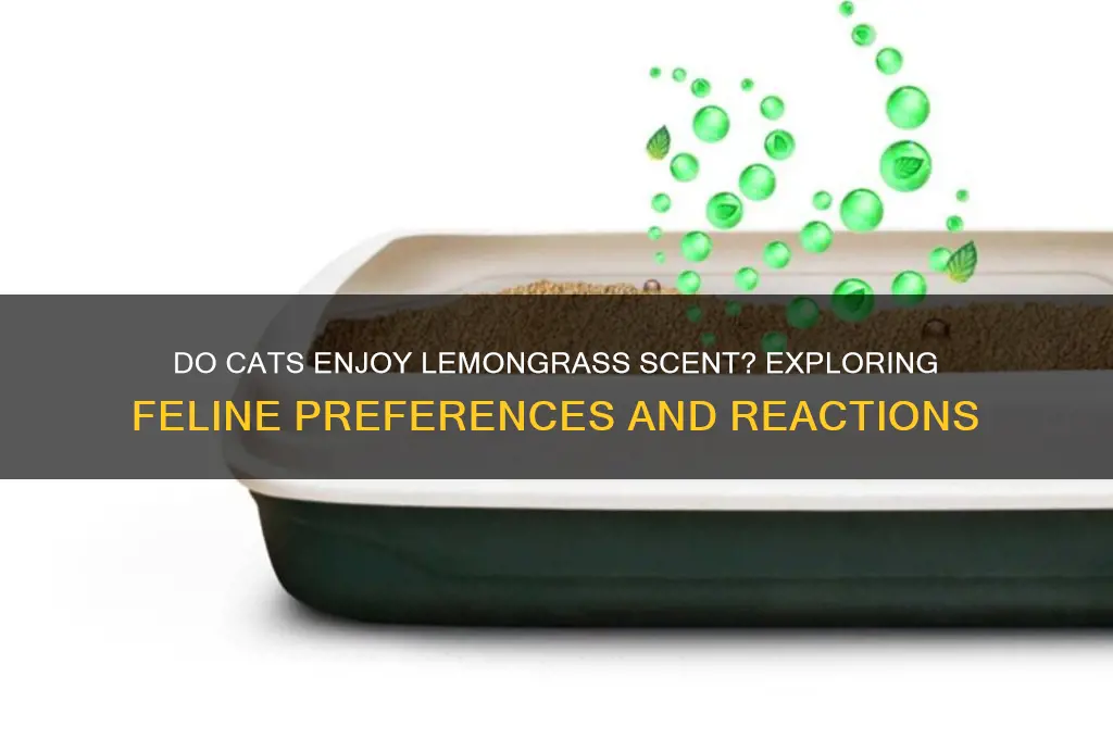 do cats like lemongrass scent
