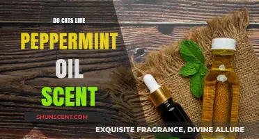 Do Cats Enjoy Peppermint Oil? Uncovering Feline Scent Preferences